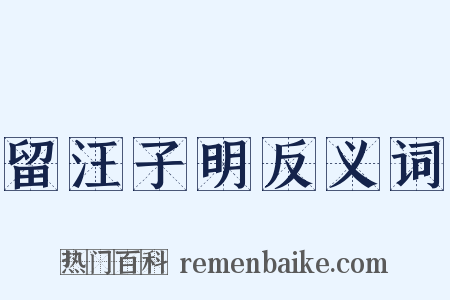 留汪子明反义词是什么意思的图片